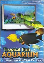 Tropical Fish Aquarium