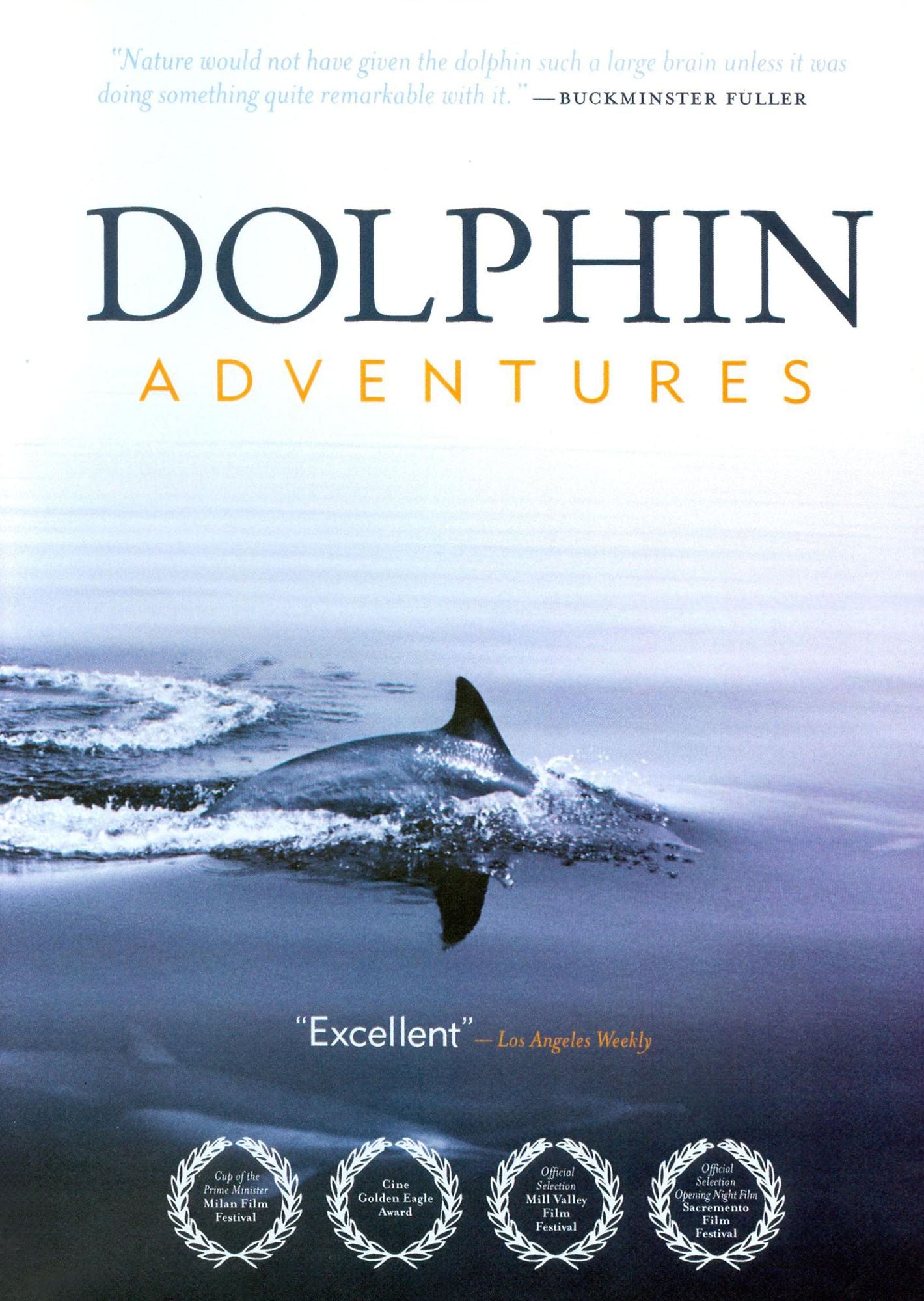 Dolphin Adventures