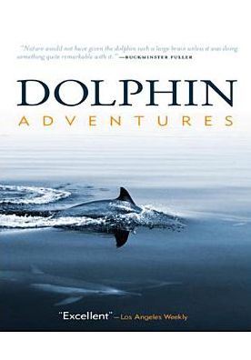 Dolphin Adventures