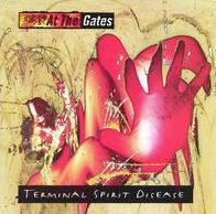 Terminal Spirit Disease