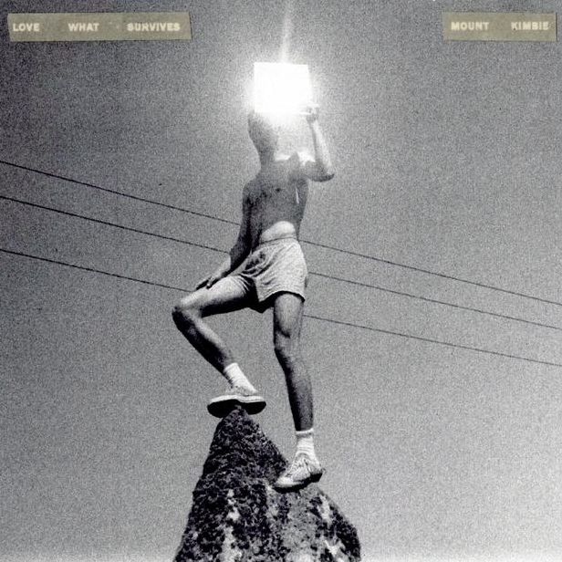 Love What Survives [Lp]