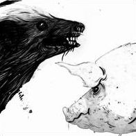 Honey Badger/pig