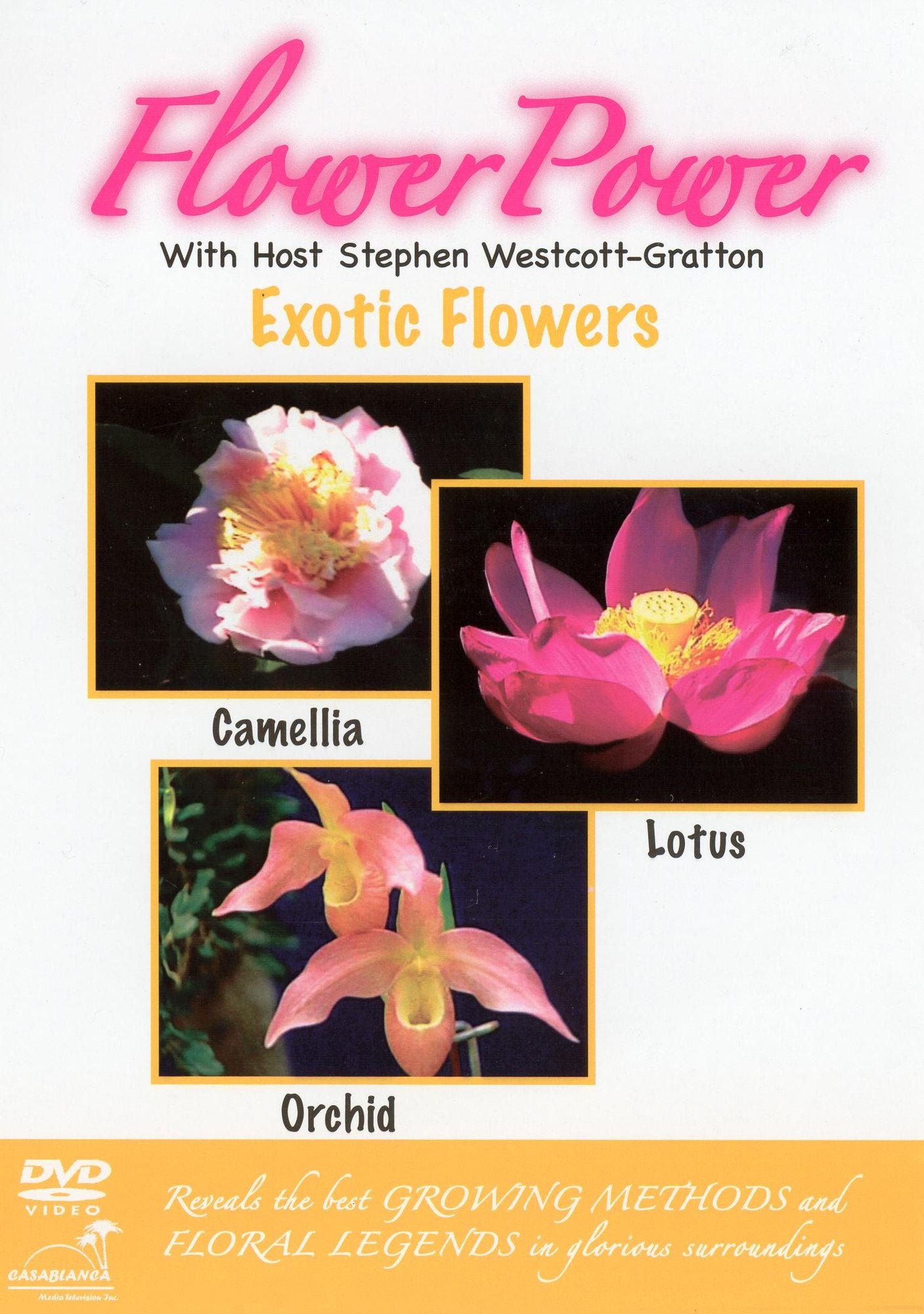 Flower Power: Exotic Flowers