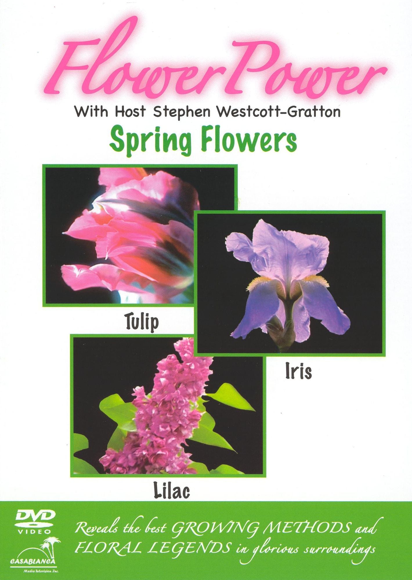 Flower Power: Spring Flowers