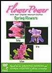 Flower Power: Spring Flowers