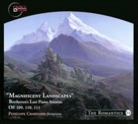 Magnificent Landscapes: Beethoven's Last Piano Sonatas