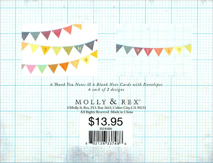 Pennants Thank You Note Card Duo