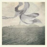 A Small Murmuration