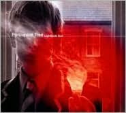 Porcupine Tree: Lightbulb Sun [CD/DVD]