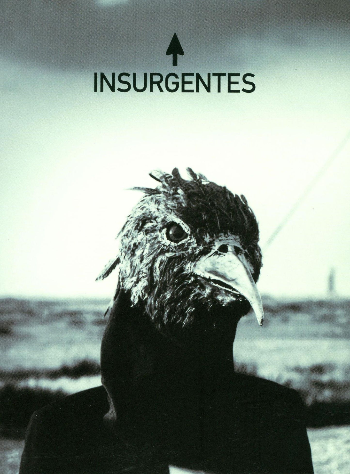 Steven Wilson: Insurgentes