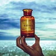 Blackfield V [Lp]
