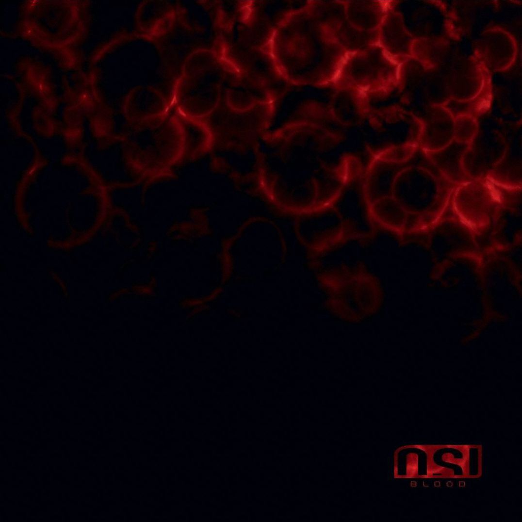 Blood