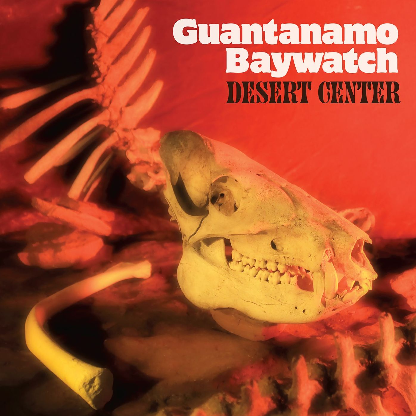 Desert Center [Lp]