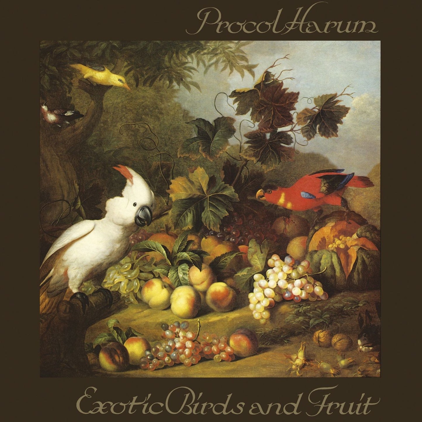 Exotic Birds And Fruit