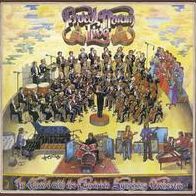 Procol Harum Live: In Concert With The Edmonton Symphony Orchestra