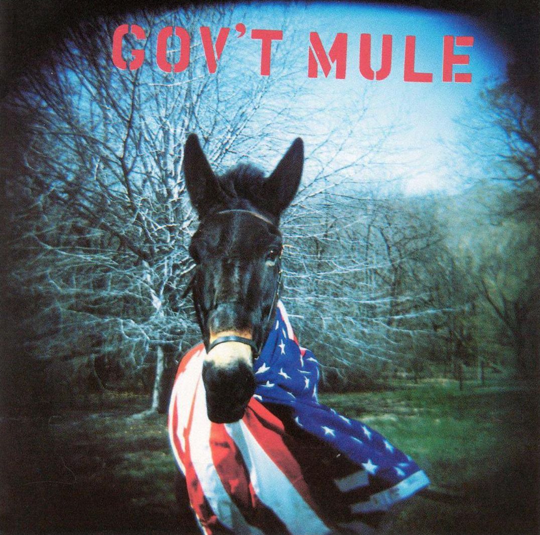 Govt Mule [Lp]