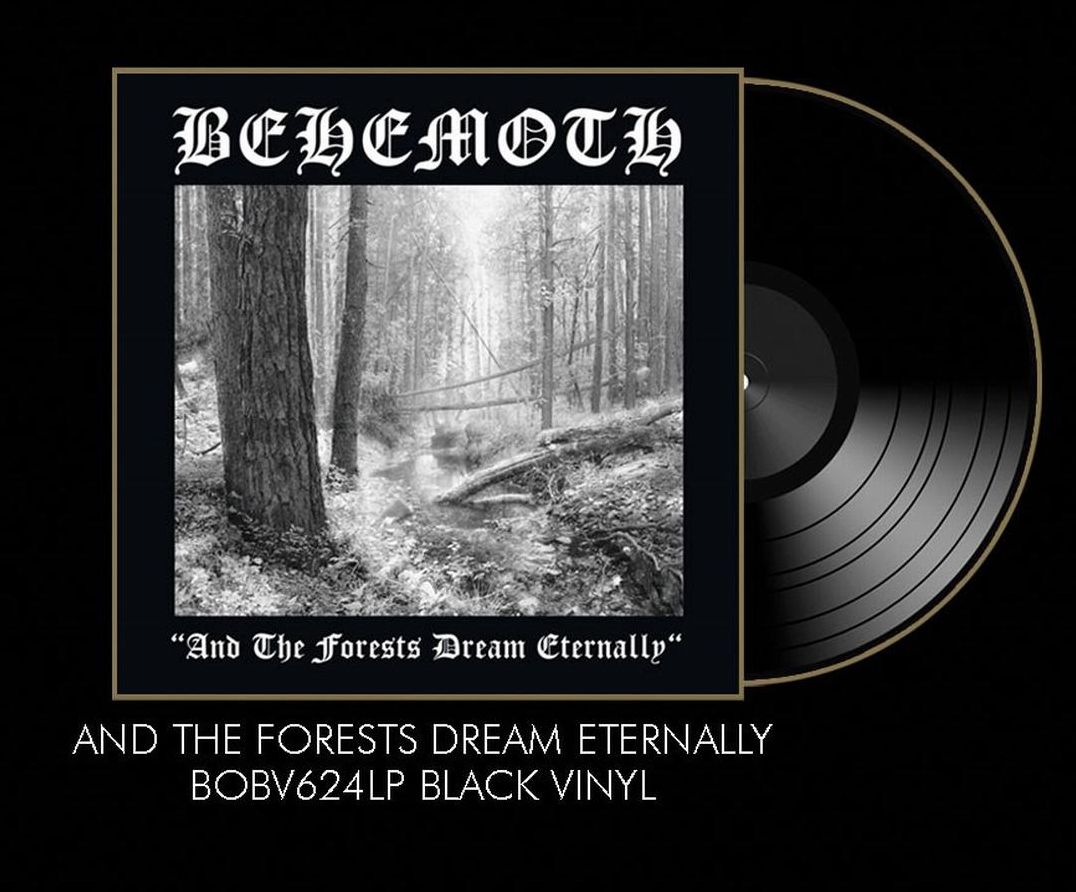 And the Forests Dream Eternally