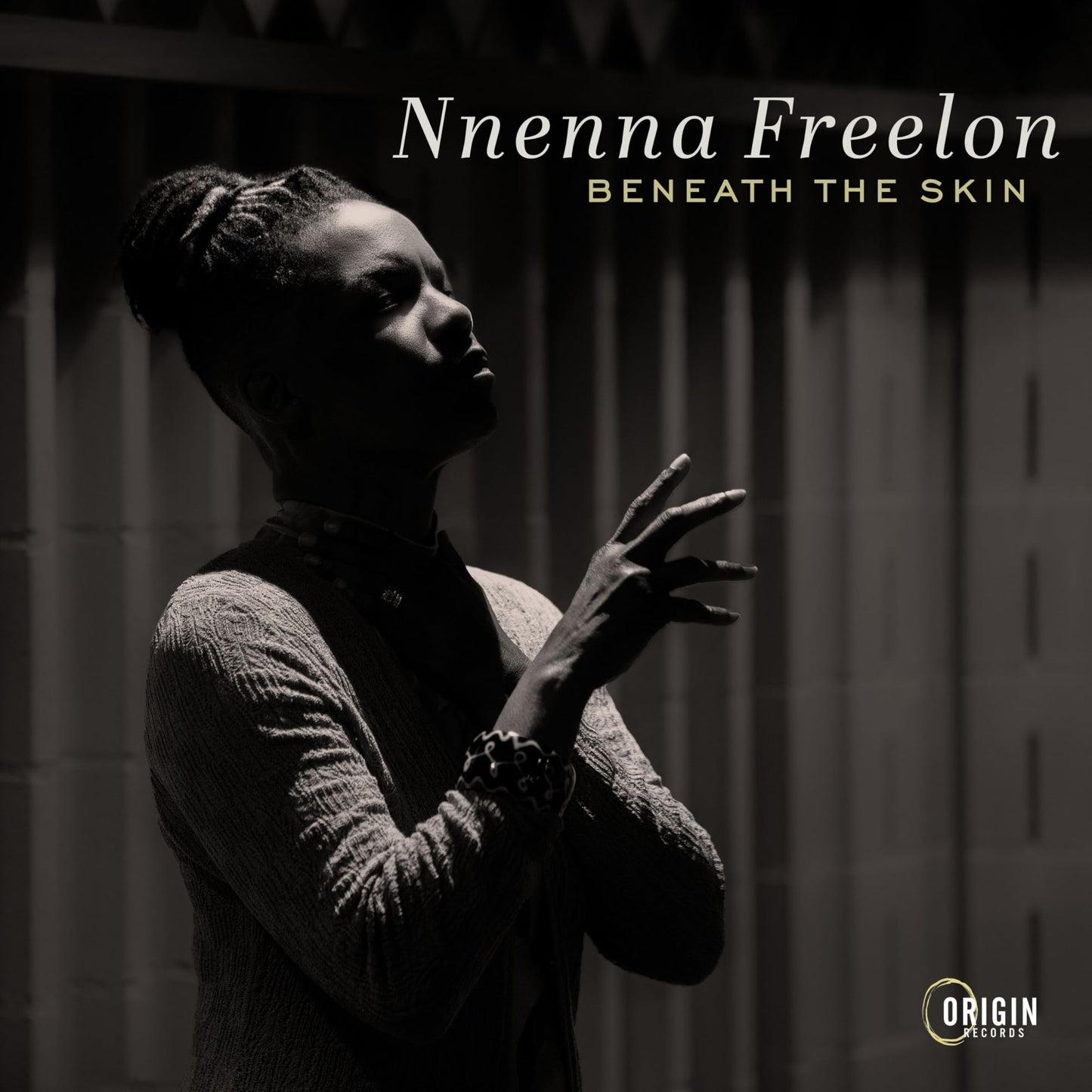 Beneath The Skin (Nnenna Freelon)