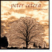 Another Perfect World