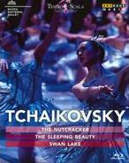 NUTCRACKER SLEEPING BEAUTY & SW