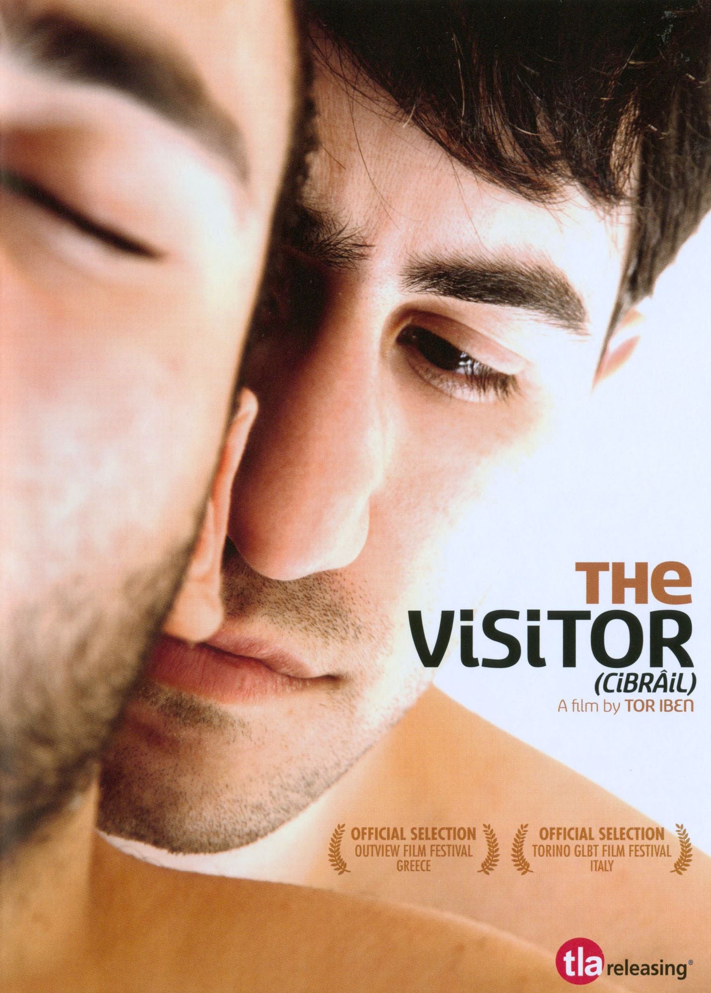 The Visitor