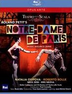 Notre Dame De Paris (Teatro Alla Scala)