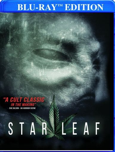Star Leaf