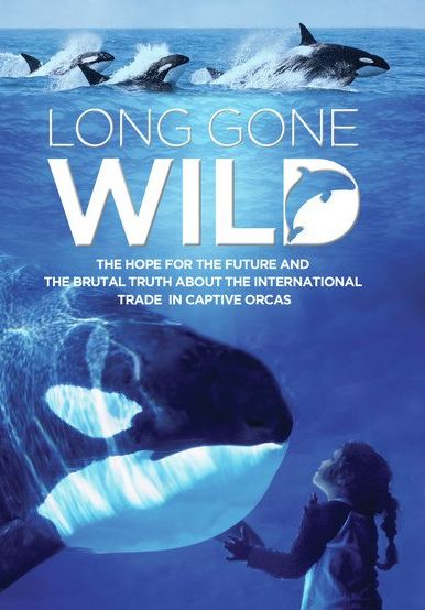 Long Gone Wild