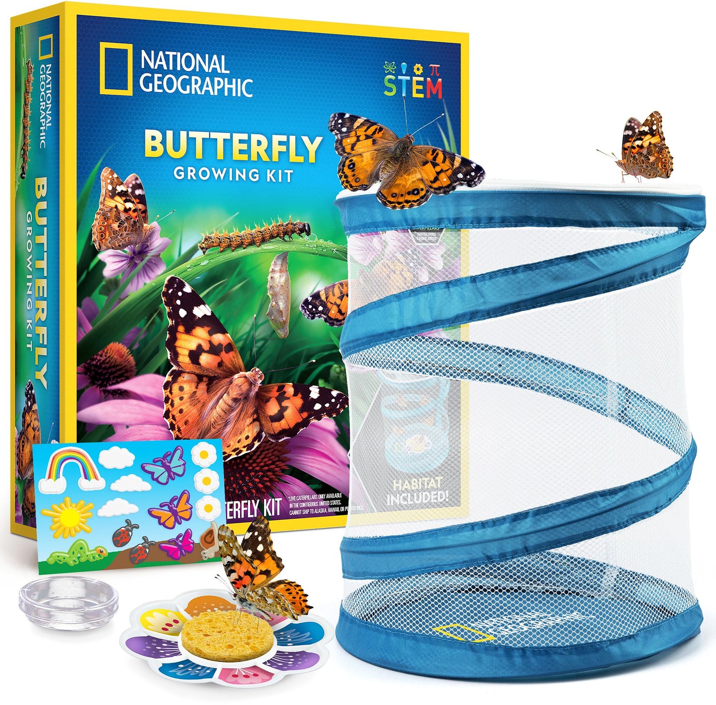 National Geographic Butterfly Growing Kit