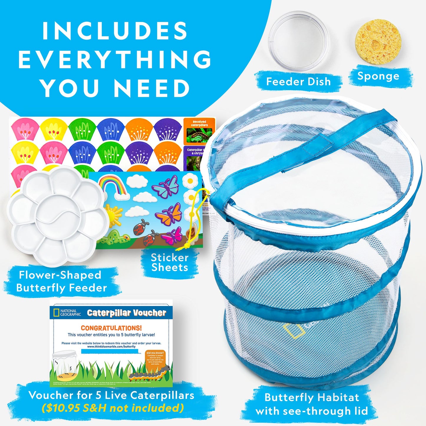 National Geographic Butterfly Growing Kit