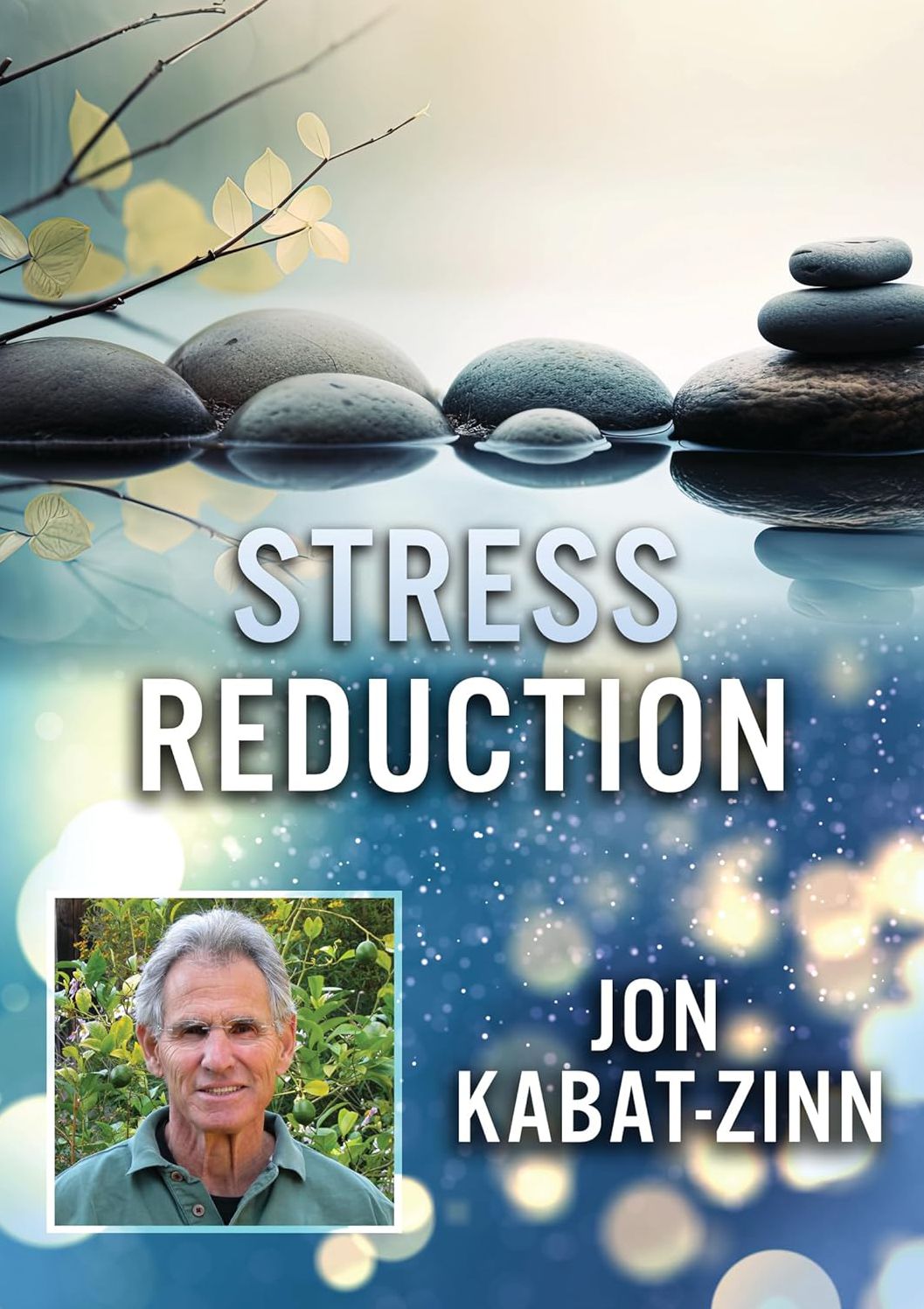 Stress Reduction With Jon Kabat