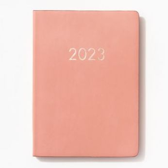 2022-2023 Chicago Avenue Dusty Rose Weekly Planner