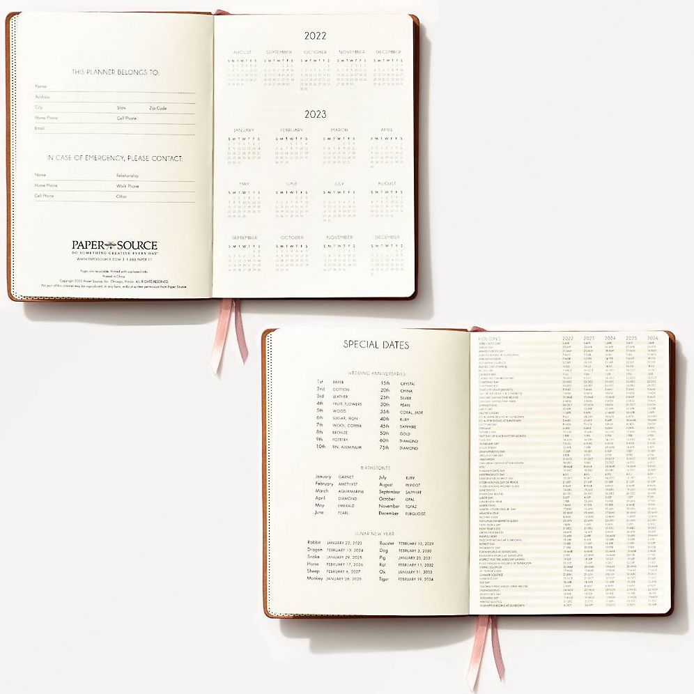 2022-2023 Chicago Avenue Dusty Rose Weekly Planner