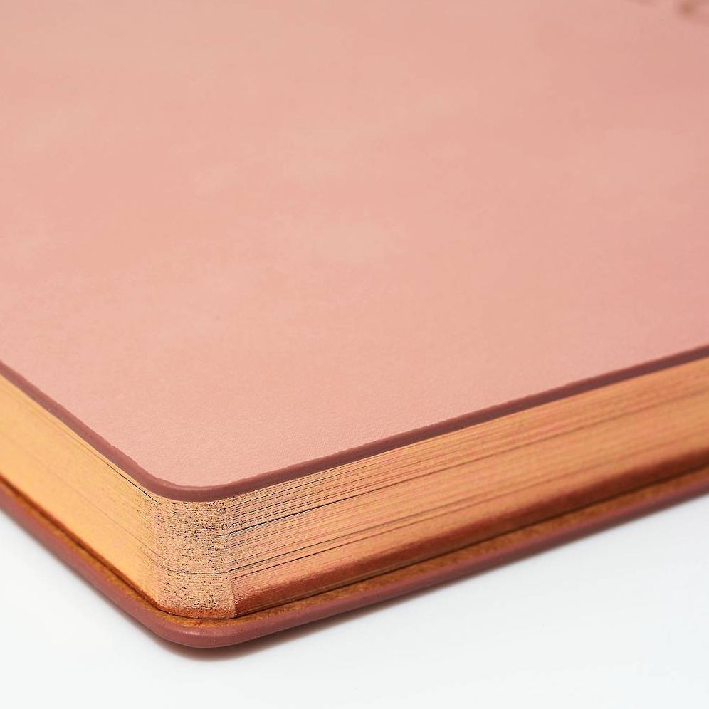 2022-2023 Chicago Avenue Dusty Rose Weekly Planner