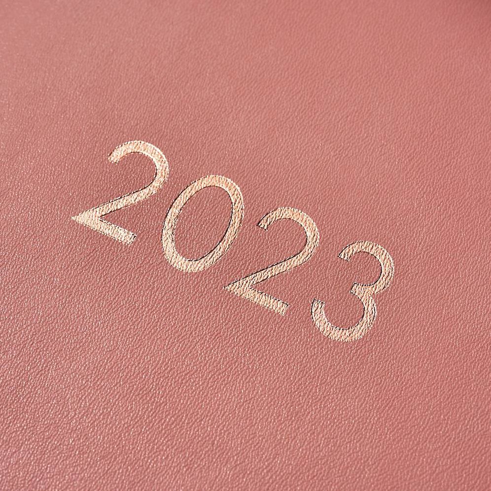 2022-2023 Chicago Avenue Dusty Rose Weekly Planner