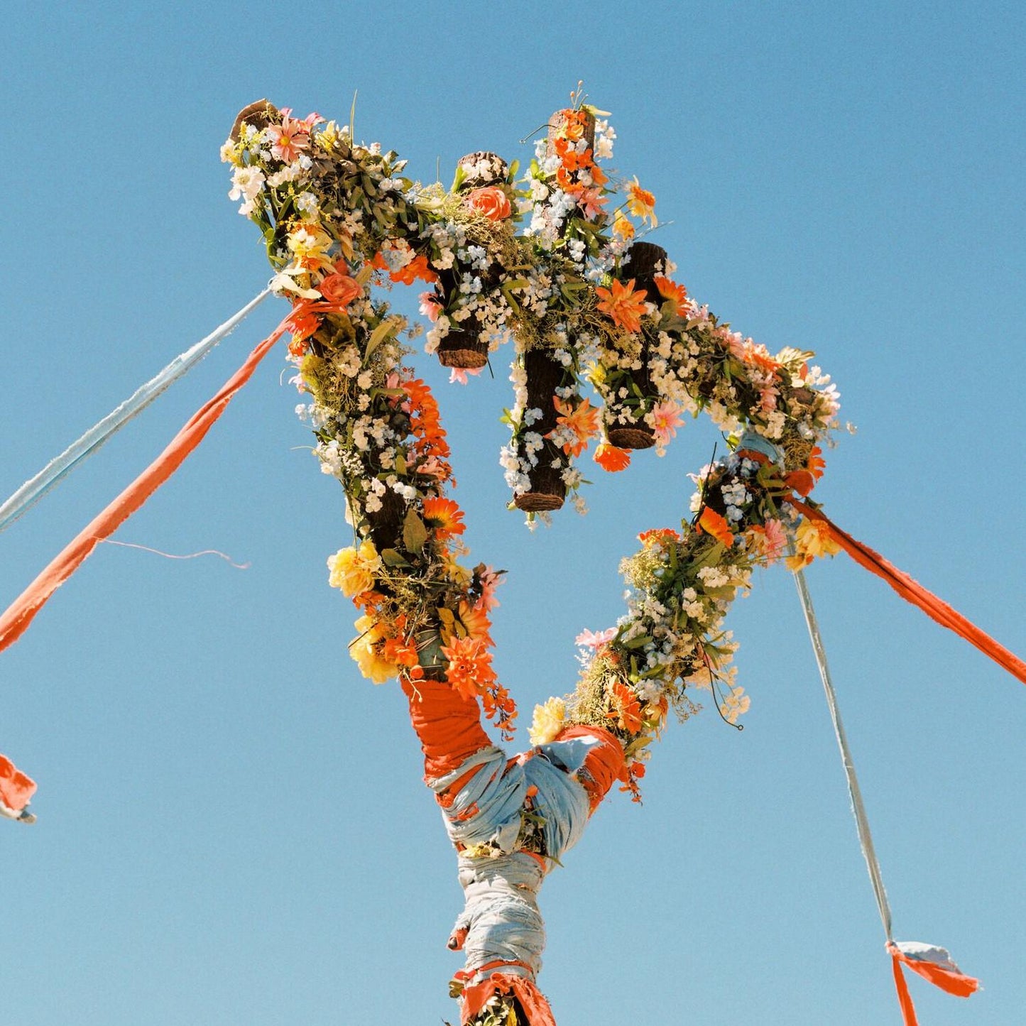 Flowers (Devil Wears Prada)