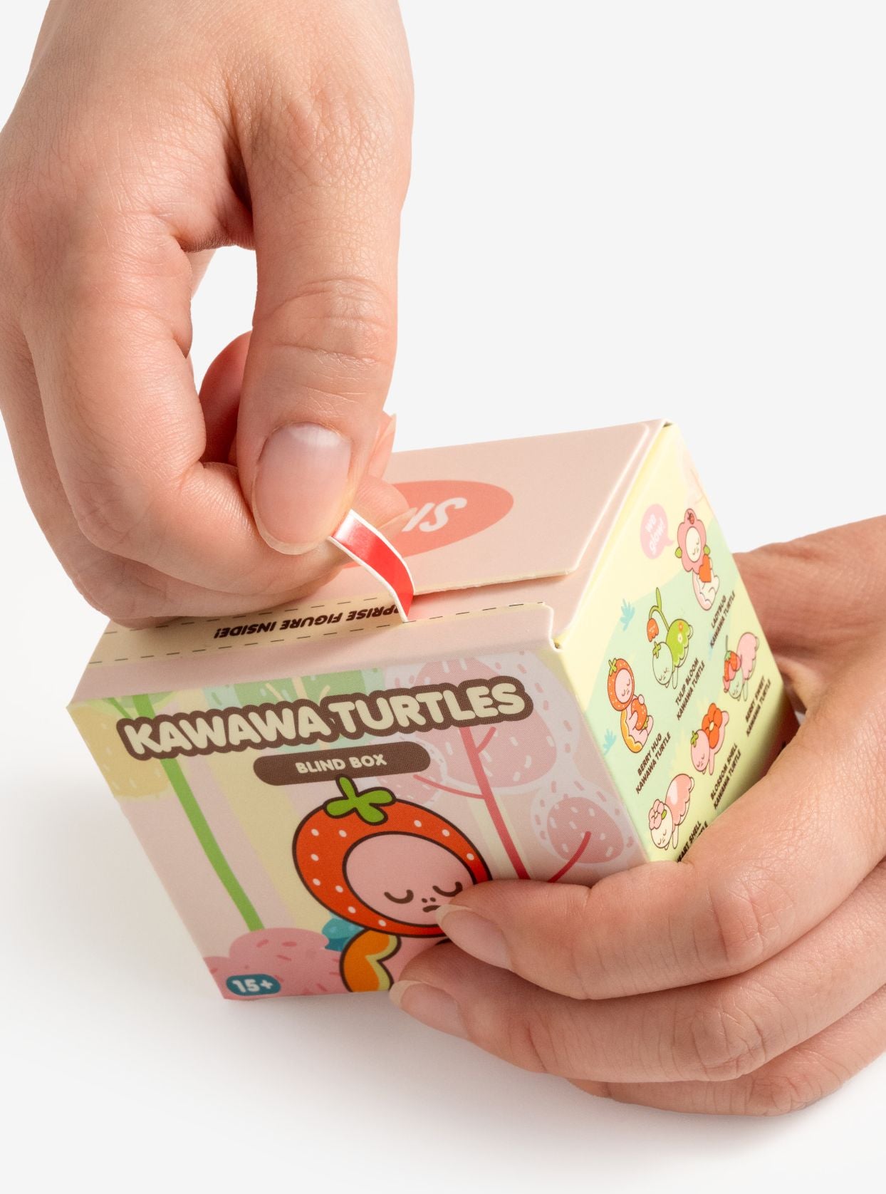 Smoko Kawawa Turtles Blind Box Figure