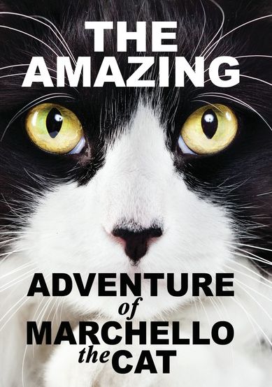 Amazing Adventures of Marchello the Cat