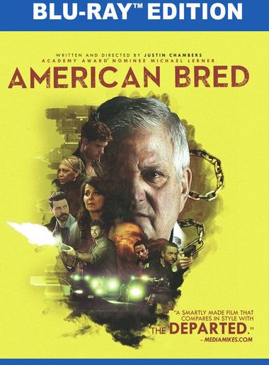 American Bred