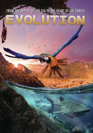 Evolution