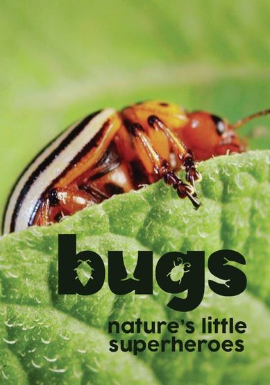 Bugs: Nature's Little Superheroes