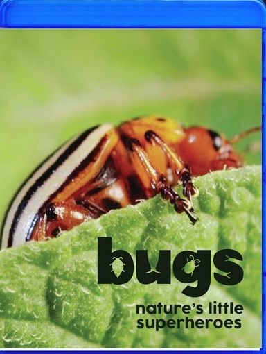 Bugs: Nature's Little Superheroes