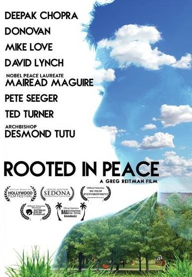 Rooted in Peace