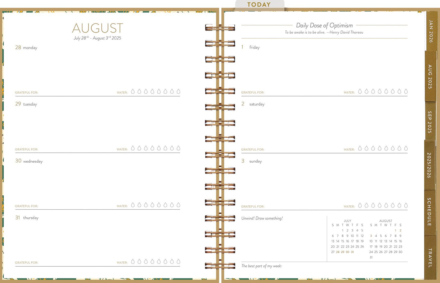 2025-2026 Seedlings Sunnyside Up 17 Month Hardcover Weekly/Monthly Planner