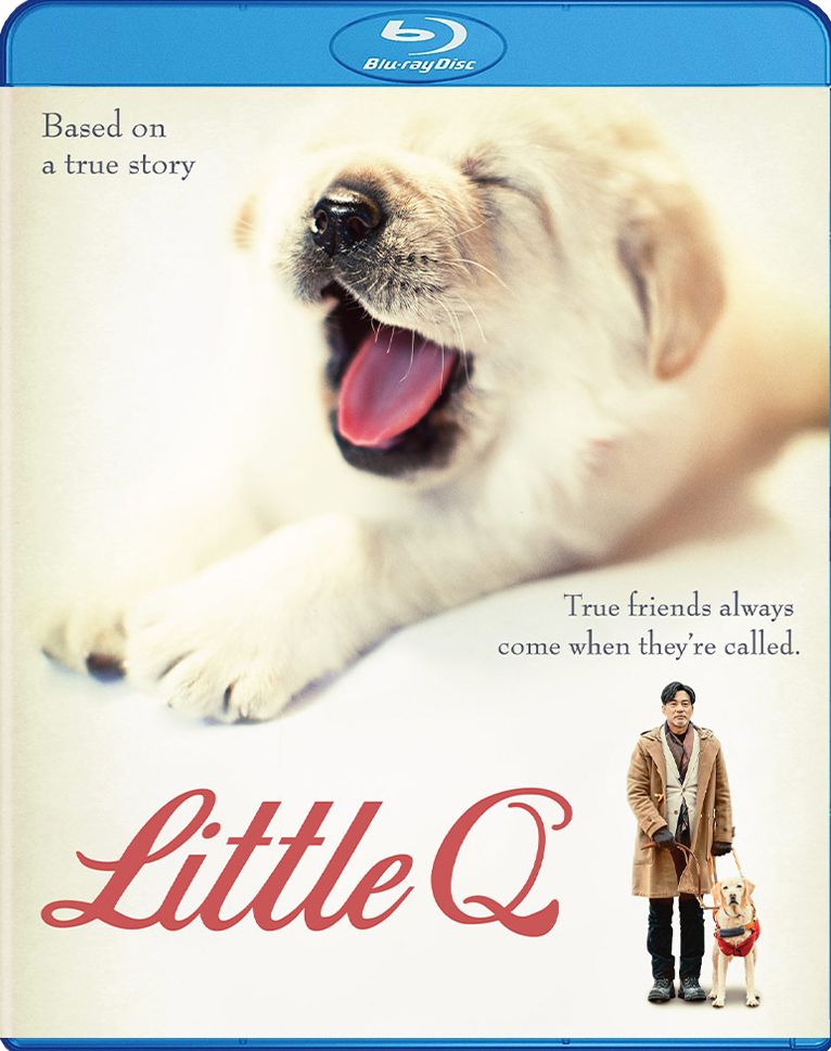Little Q