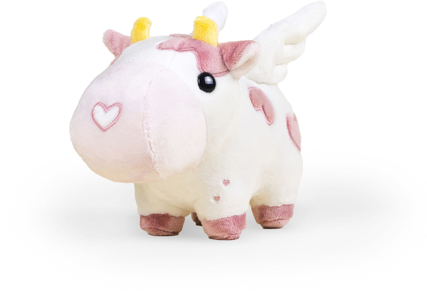 Mini Valentine's Mooi