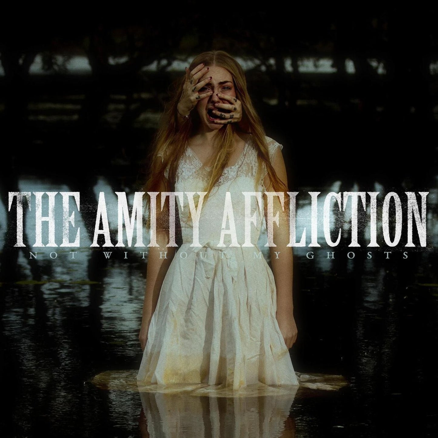 Not Without My Ghosts (Amity Affliction)