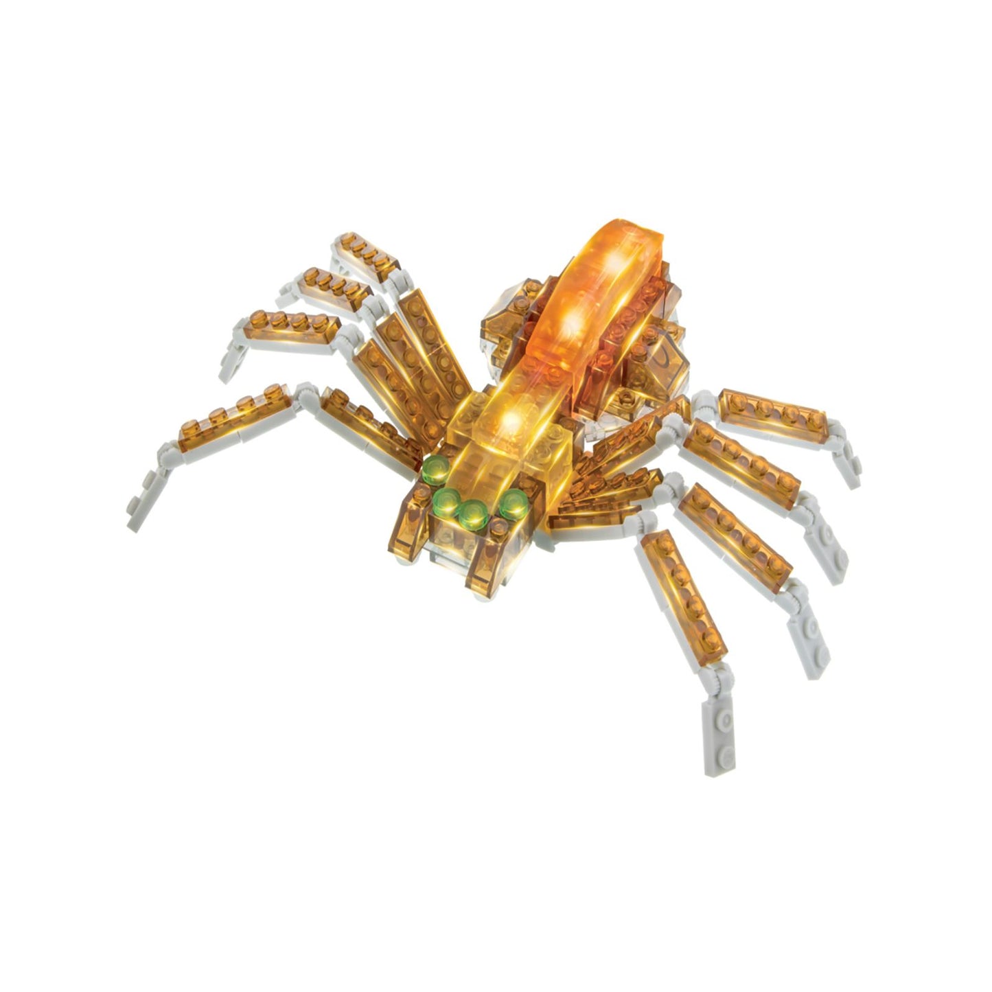 6-in-1 Spider