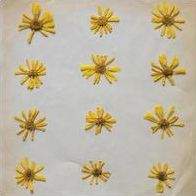 Flowers in the Spring