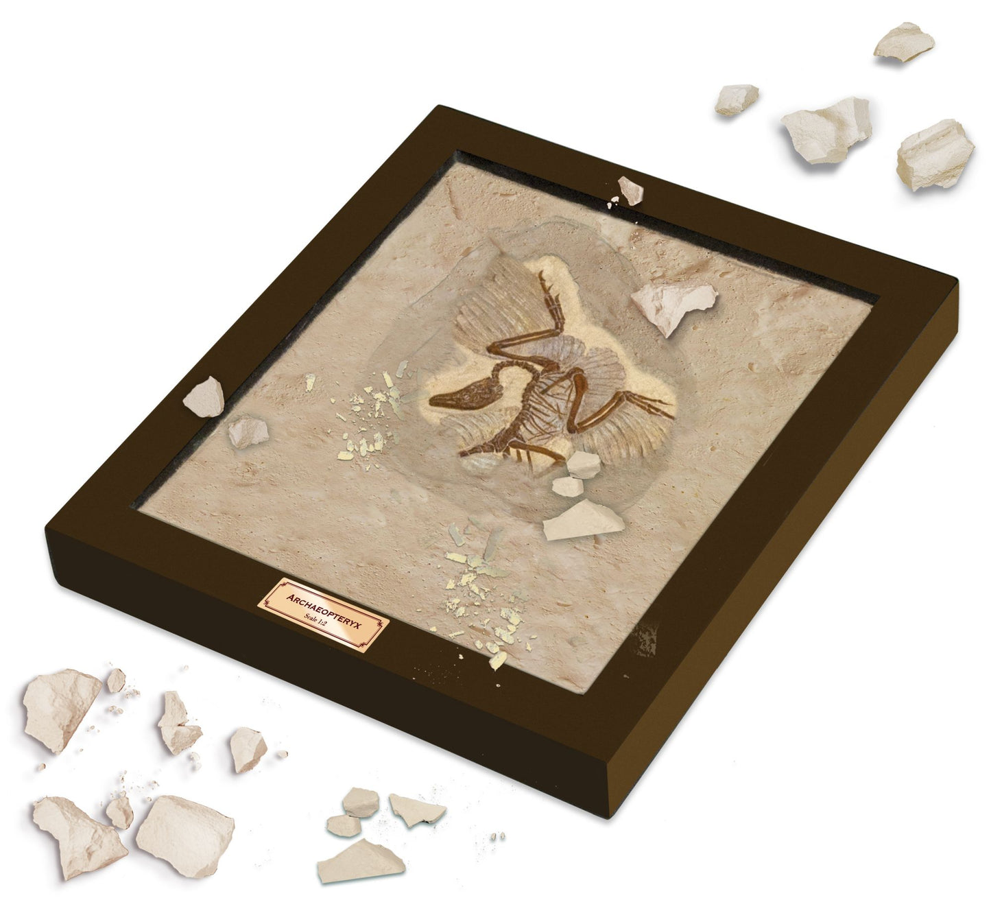 Geoworld Paleo Lab Archaeoptery Fossil Replica Paleontologist Kit